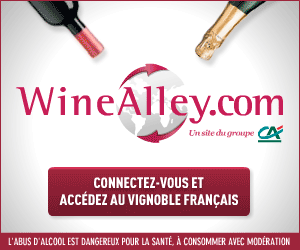 Wine Alley