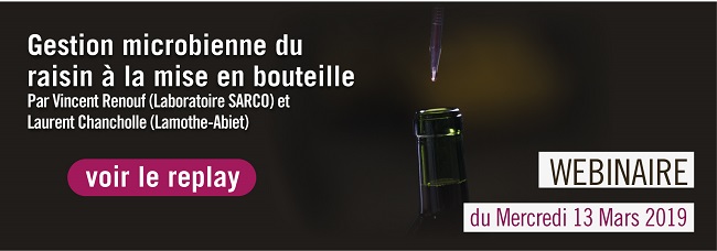 webinaire Lamothe Abiet