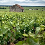 pepiniere-gergaud