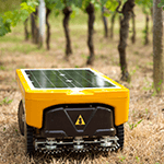 vitirover