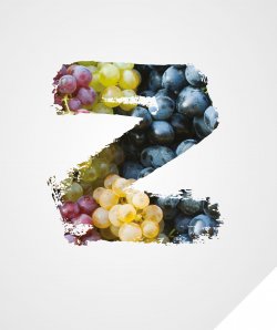 Protection anti-mildiou : 93 % des viticulteurs sont prÃªts Ã  rÃ©utiliser ZorvecÂ active en 2020*