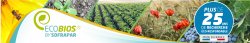 IntÃ©rÃªt d'EcobiosÂ® Vigne sur la rÃ©sistance au stress hydrique