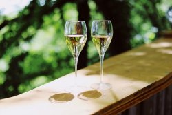 Connaissez-vous les trois principaux cÃ©pages utilisÃ©s dans l'Ã©laboration du Champagne ?