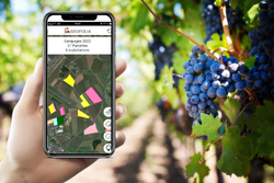 Geofolia, un soutien Ã  la certification HVE