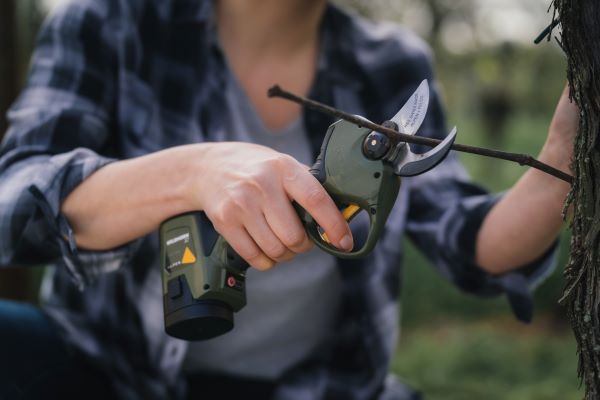 Ce nouveau sécateur électrique taille sans fil pendant 12 heures