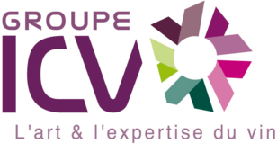 logo ICV