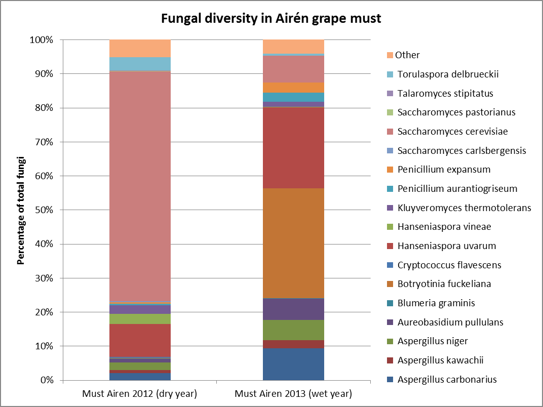 Pourcentage en levures totales par espces sur Airen. Millsime 2012 sec, millsime 2013 humide.