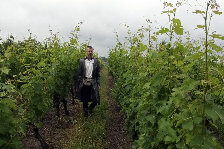 5 conseils des vignerons fraîchement convertis au bio à ceux qui voudraient se lancer