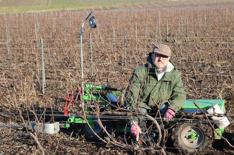 Quel est votre sécateur préféré pour tailler les vignes ? Ces vignerons  expliquent leur choix