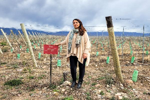  En Argentine les vignerons voient leur rentabilité chuter