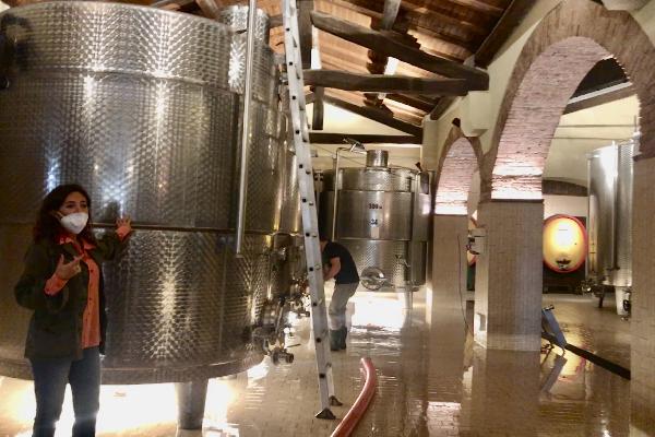  Les vins italiens d'Oltrepò Pavese en quête de reconnaissance