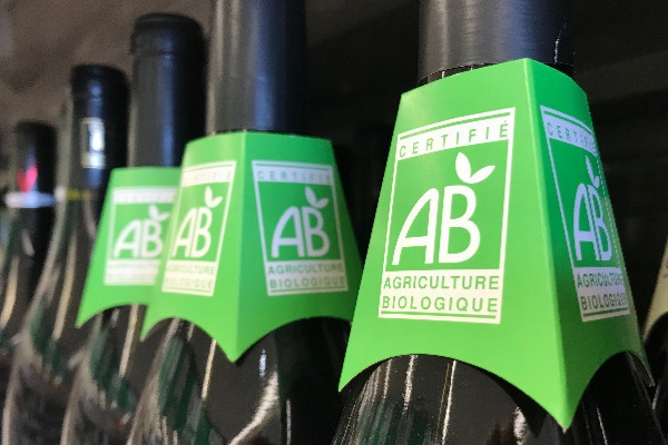 -0,4 %, les ventes de vins bio reculent pour la première fois en grande distribution