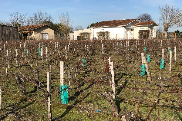 Ce qui change pour les ZNT et chartes riverains sur la campagne phyto 2022