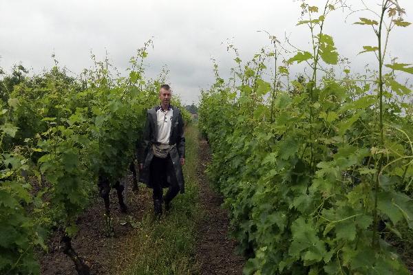 5 conseils des vignerons fraîchement convertis au bio à ceux qui voudraient se lancer