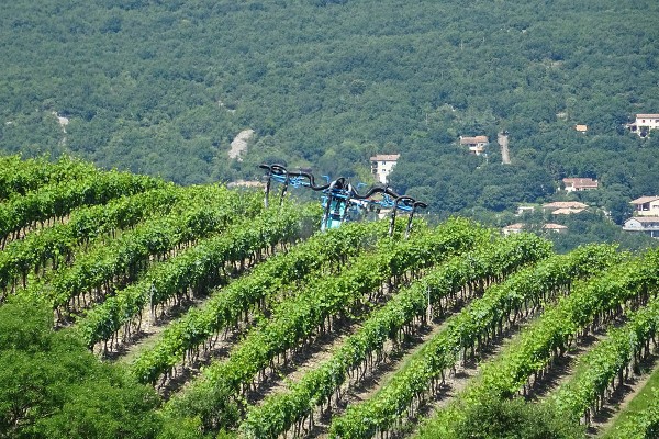 Des pénuries de glyphosate, soufre, cuivre et autres phytos dans le vignoble