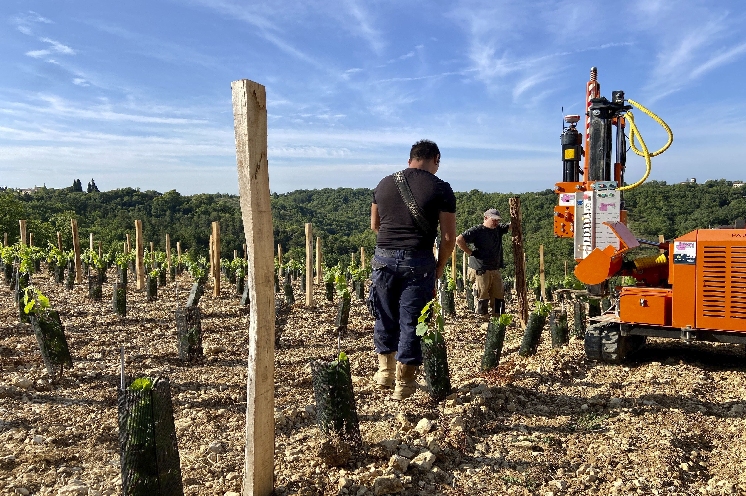  Faute de main-d'oeuvre, la pose du palissage dans les vignes s'externalise