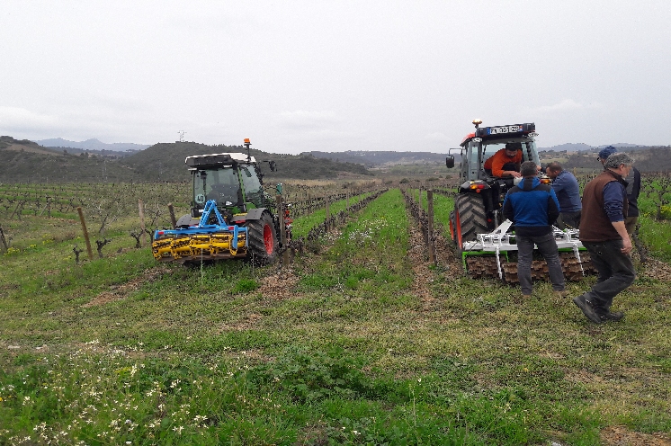  Le roulage des couverts peut dans certaines vignes faire plus de mal que de bien