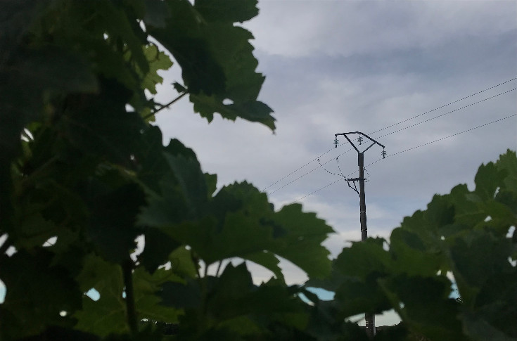 Le point sur les aides pour réduire la facture énergétique des producteurs de vin