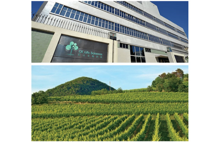 L’homme le plus riche de Hong Kong prend la tête du principal vignoble d'Océanie