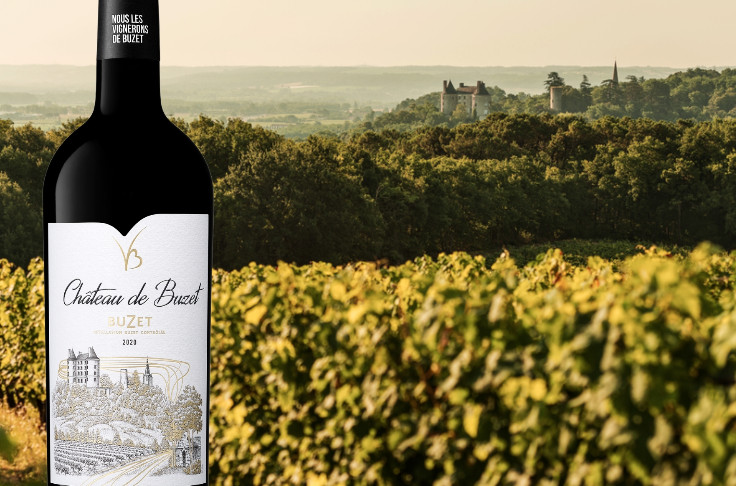 Renaissance du vin du château de Buzet