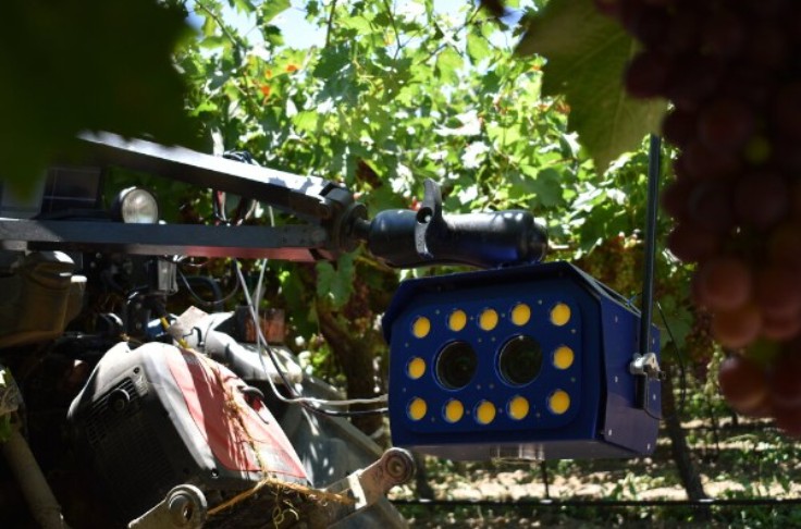 Ce capteur de rendement et de maladies de la vigne séduit Kubota et Oeneo