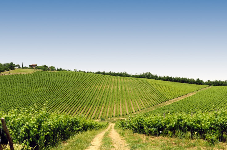 Les viticulteurs peuvent compter sur une large gamme de biosolutions