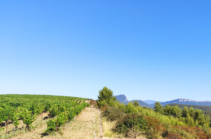 Nouvelle étape vers l'AOC pour les vins de Saint-Drézéry