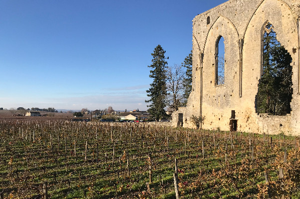 Nouveau classement arrêté pour les vins de Saint-Émilion