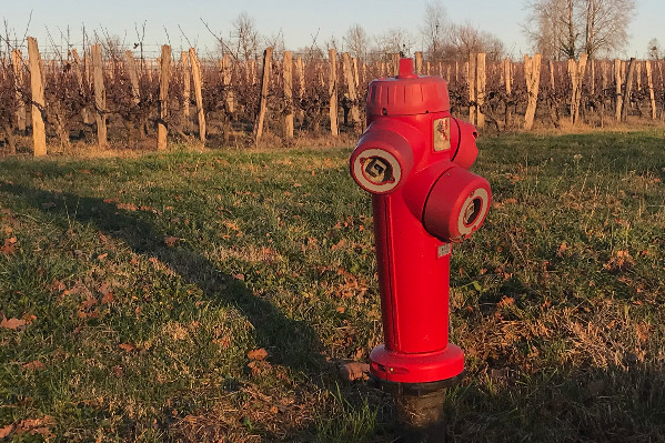 Les vignerons bordelais gagnent moins que le SMIC