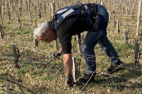 Six conseils d'experts pour bien choisir son exosquelette