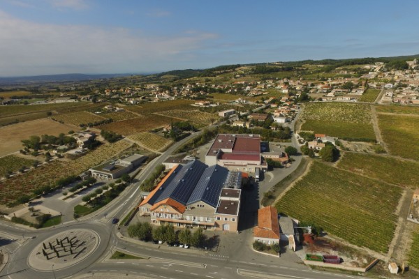 Rhonéa veut mieux rendre service à ses viticulteurs en se rapprochant de la CAPL 