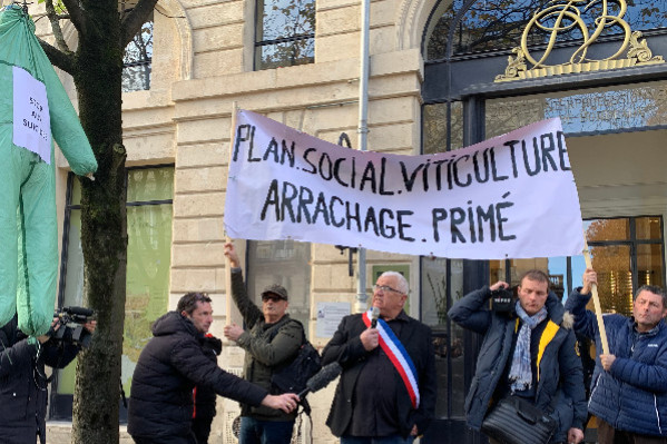 Pas 1 amélioration 1 mois après la manifestation des vignerons