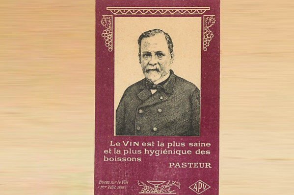 'Le vin est la plus saine et hygiénique des boissons', citation incomprise de Louis Pasteur ?