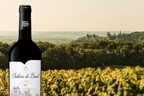 Renaissance du vin du château de Buzet