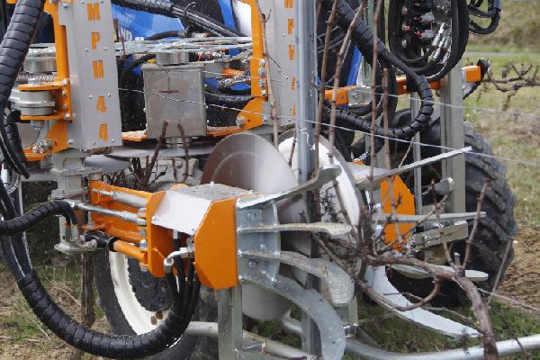  Les vignerons confirment qu'il y a moins de maladies du bois avec la taille mécanique