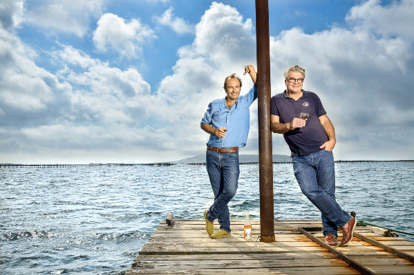  Les vins de France, une solution face à la mévente des AOP rouges