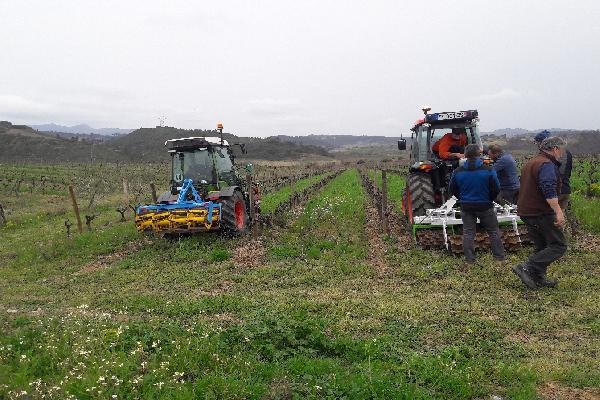 Le roulage des couverts peut dans certaines vignes faire plus de mal que de bien