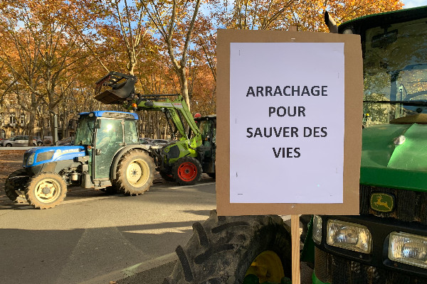 La vente en vrac fait perdre 1 377 €/ha aux vignerons de Bordeaux