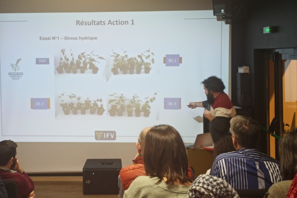 Quels biostimulants pour des produits de biocontrôle plus efficaces au vignoble ?