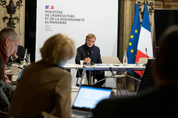 La filière vin doit encore patienter pour savoir si elle pourra arracher, distiller, stocker…