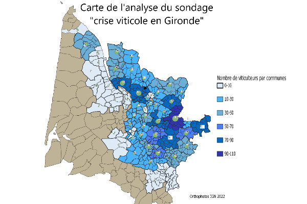 35 000 hectares de vignes en péril à Bordeaux