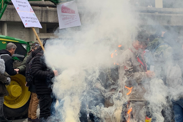 Les vignerons de Bordeaux ne veulent plus toucher le fond, mais des ronds