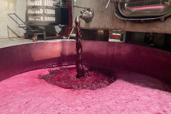 1 million € de condamnations pour un passe-passe francisant 34 587 hl de vins espagnols