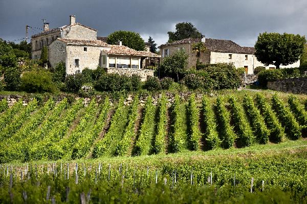  Ce qu'il faut savoir sur l'écorégime, paiement 'vert' auquel les viticulteurs peuvent désormais prétendre