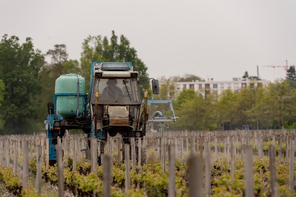 Vignerons, n’oubliez pas le CSP en 2023 !