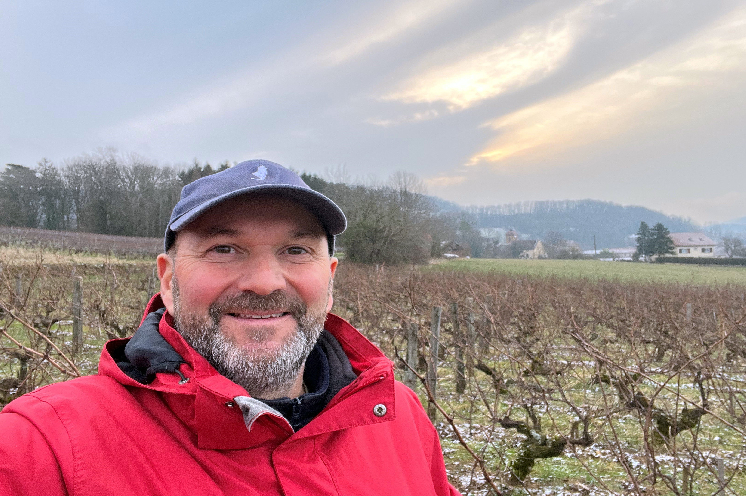 Le recépage préventif progressif freine l'esca dans les vignes