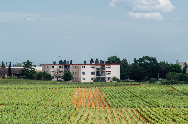 De nombreux vignerons concernés par des annulations de chartes de voisinage