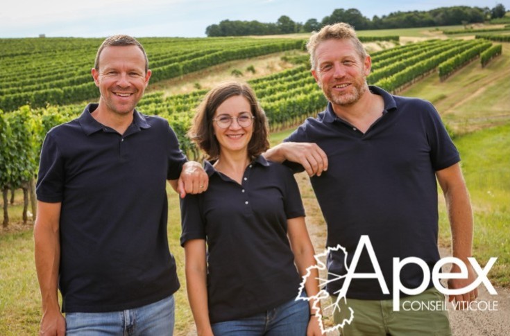 Un trio d’experts viticoles pour la Bourgogne