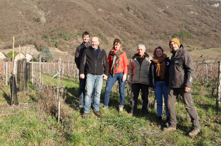 En Cuma, ces vignerons ne partagent pas que leur matériel