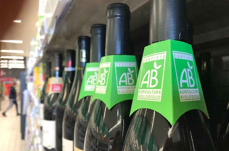 La grande dédistribution de vins bio se poursuit : -7 % volume et -5 % valeur